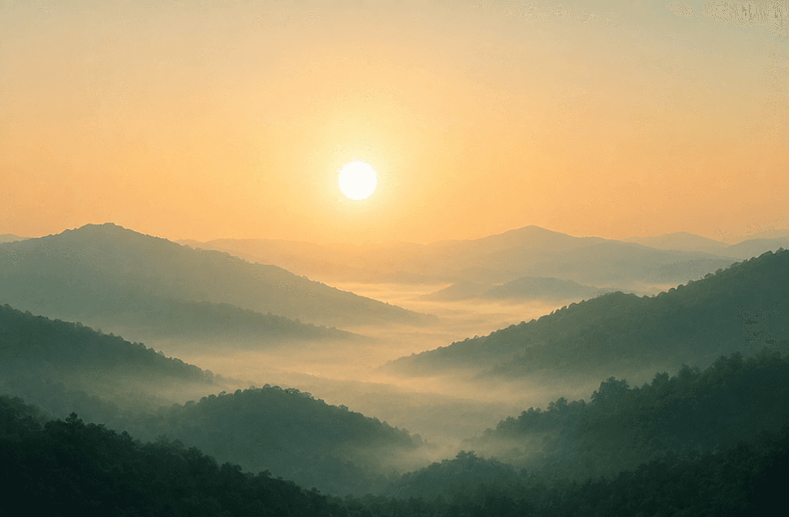 Daily micro-checkins and guided mindfulness reflections interface